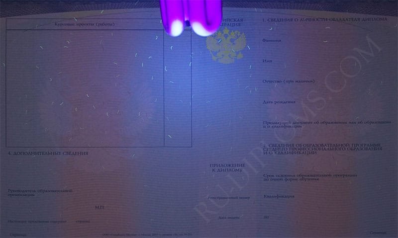 Диплом техникума или колледжа 2014-2025 НОВОГО ОБРАЗЦА 