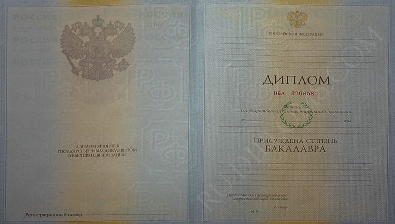 Диплом бакалавра 2004-2009 год  