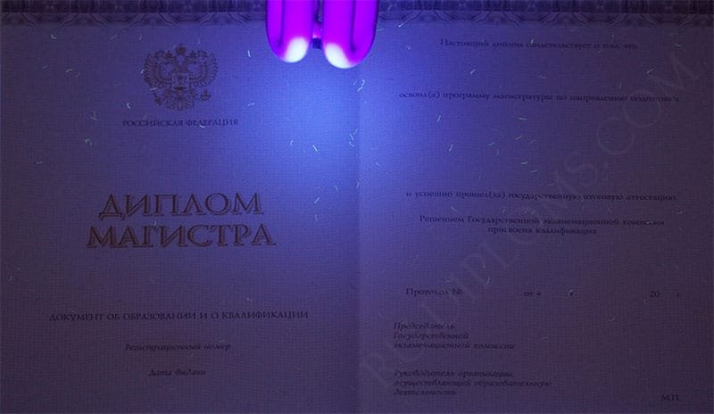 Диплом магистра 2014-2025 НОВОГО ОБРАЗЦА Киржач